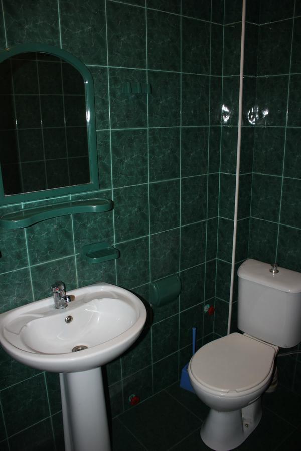 Firuza Hostel Borjomi Ngoại thất bức ảnh