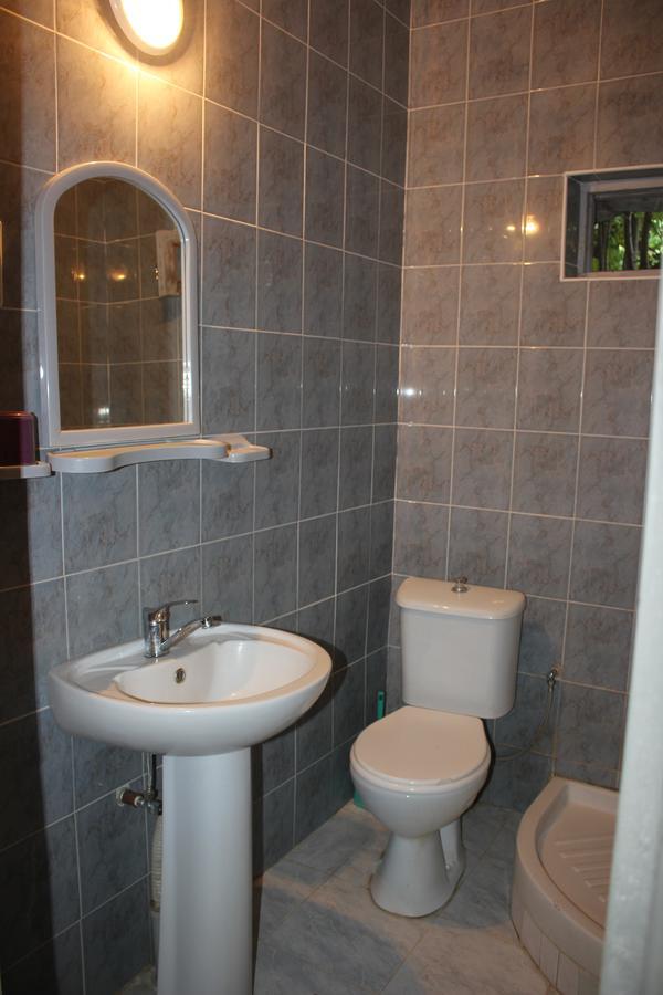 Firuza Hostel Borjomi Ngoại thất bức ảnh